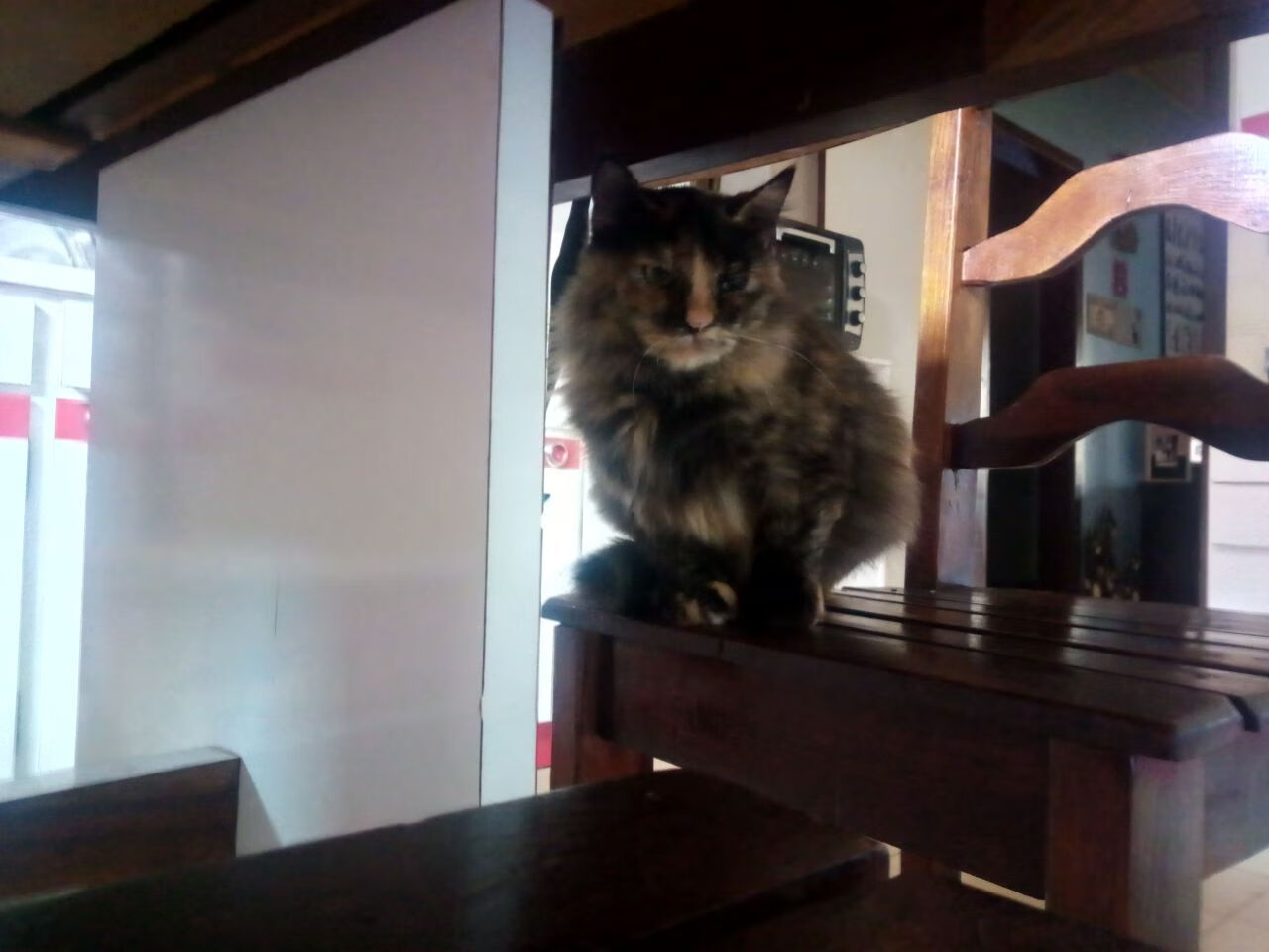 中国足球是否拥有规范的青训等级评估体系，中国足球青训体制